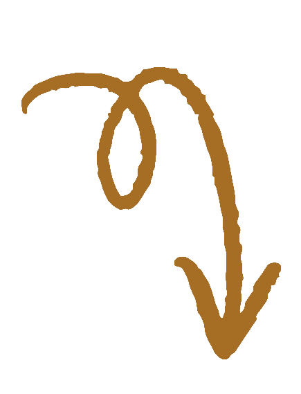 Hand-drawn brown arrow curling downward with a decorative loop, illustrating a curved directional pointer on white background.