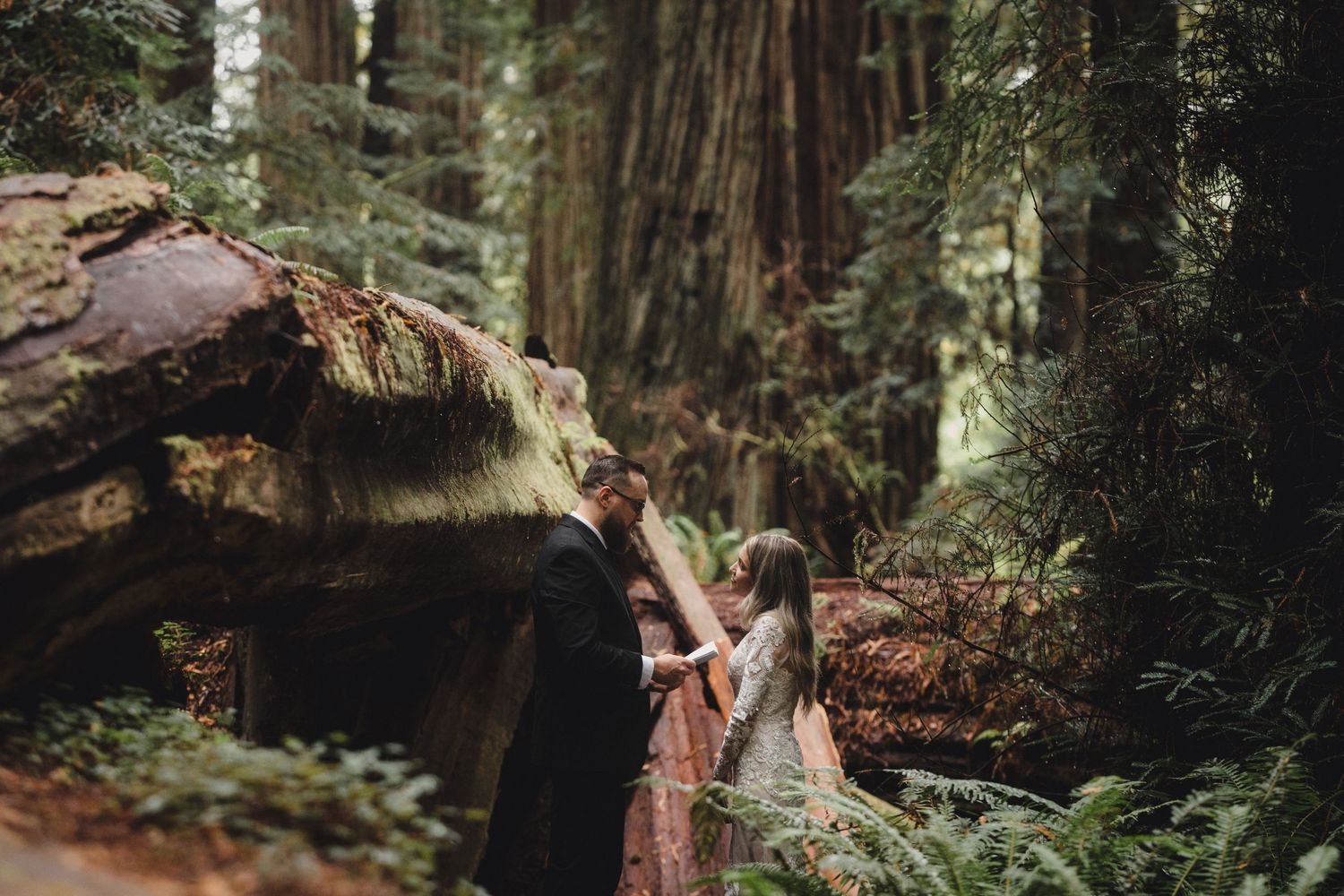 Couple holding hands beside a fallen redwood tree in a forest.