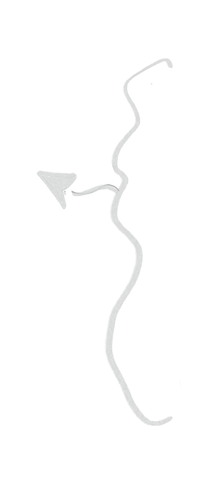 Simple line art illustration of a person's head and shoulders silhouette in gray on white background.