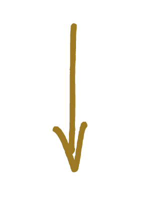 A hand-drawn dark yellow arrow pointing downward on a white background.
