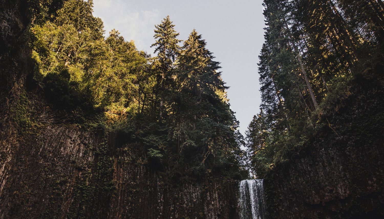 Tall evergreen trees framing a waterfall cascading down dark rocky cliffs.