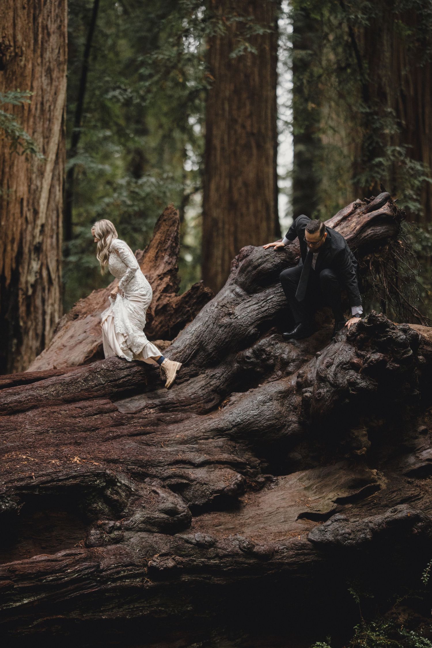 Bride and groom climbing a massive fallen redwood tree in a lush forest during their outdoor elopement.