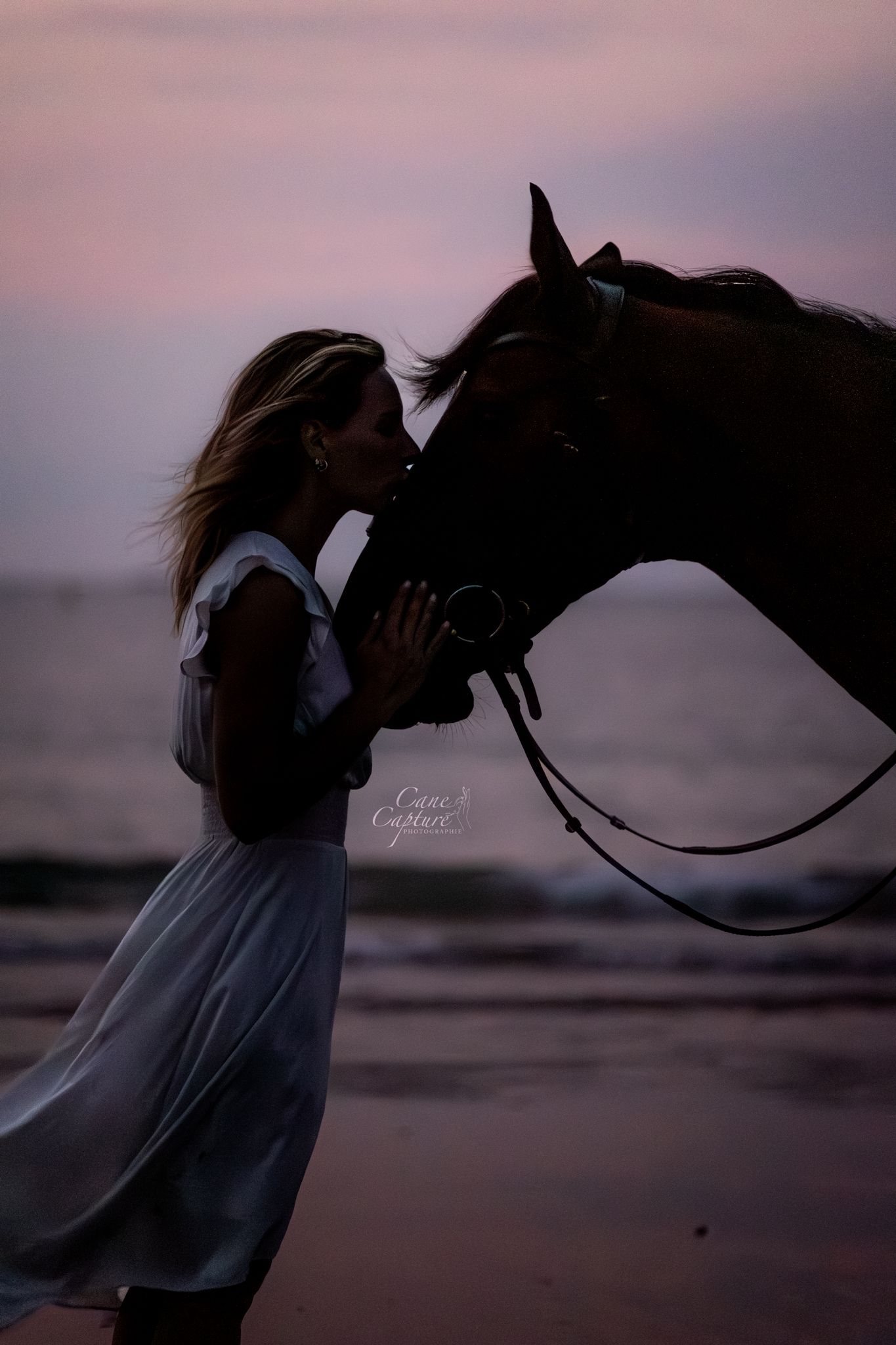 photo-cheval-exterieur-tours-saint-malo-chloe-frigo