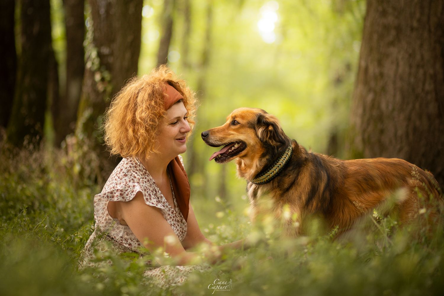 photo-chien-exterieur-tours-saint-malo-chloe-frigo