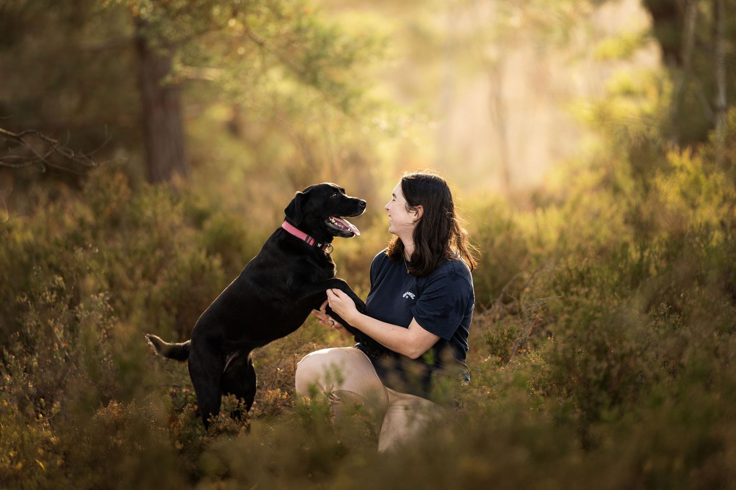 photo-chien-exterieur-tours-saint-malo-chloe-frigo