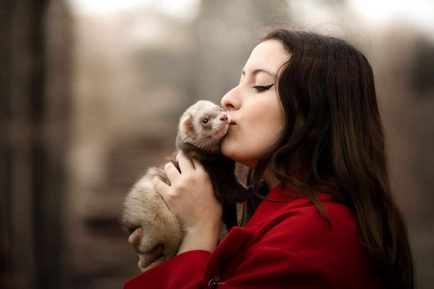 photo-chien-exterieur-tours-saint-malo-chloe-frigo