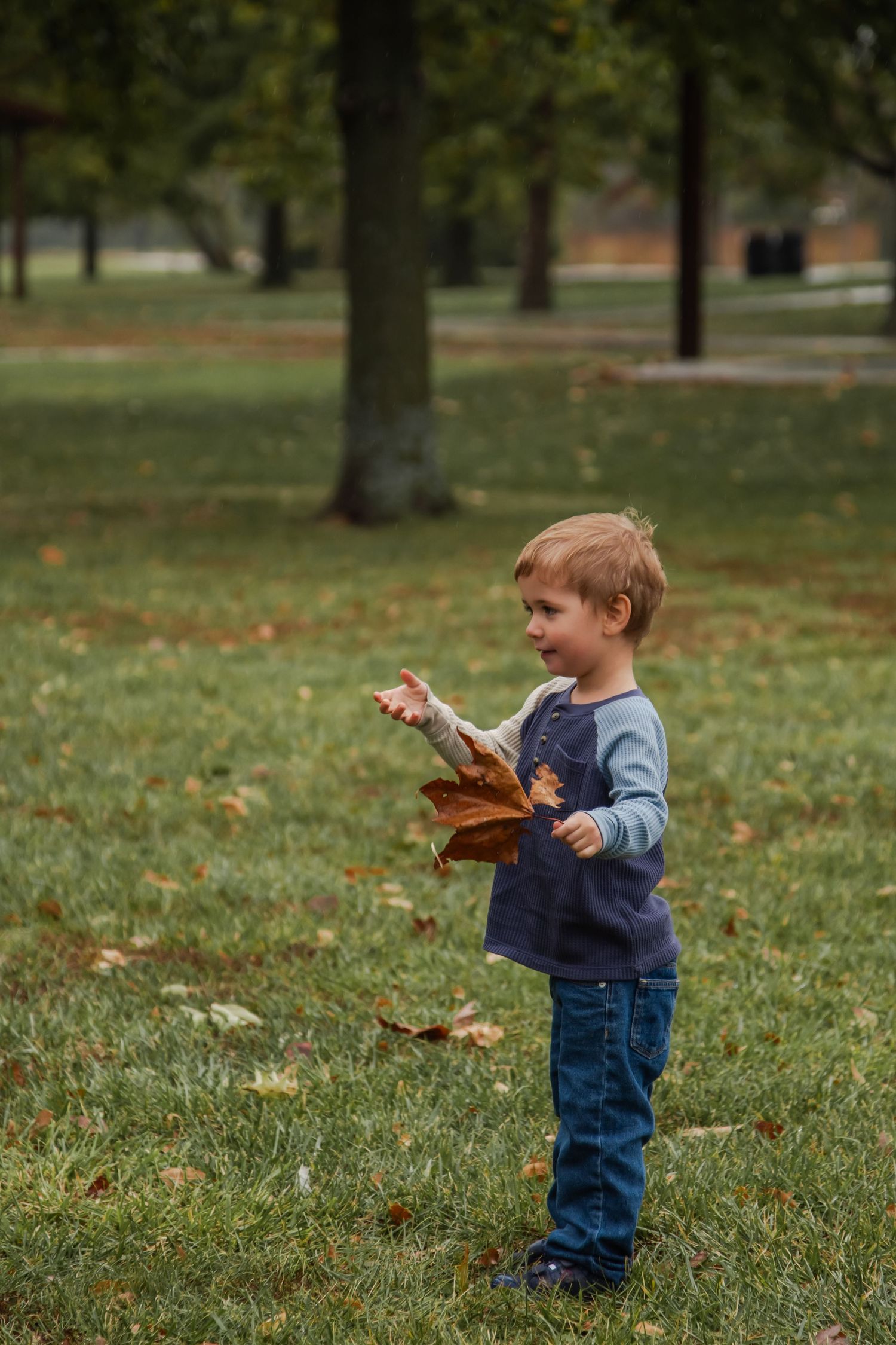 A toddler in denim overalls plays with fallen autumn leaves in a grassy park setting.