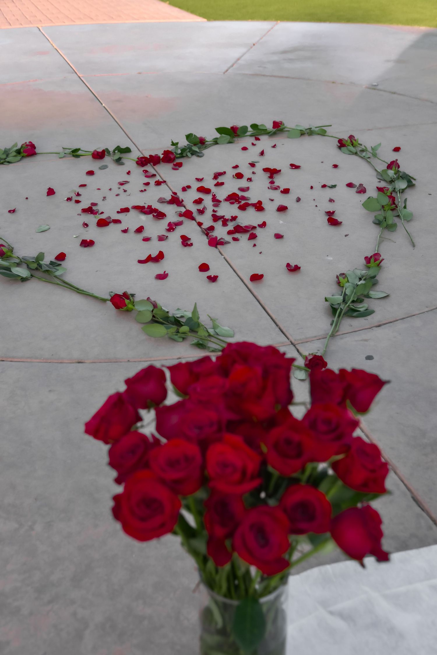 Red roses laid out gracefully on a concrete surface with some petals scattered and arranged in an artistic pattern.