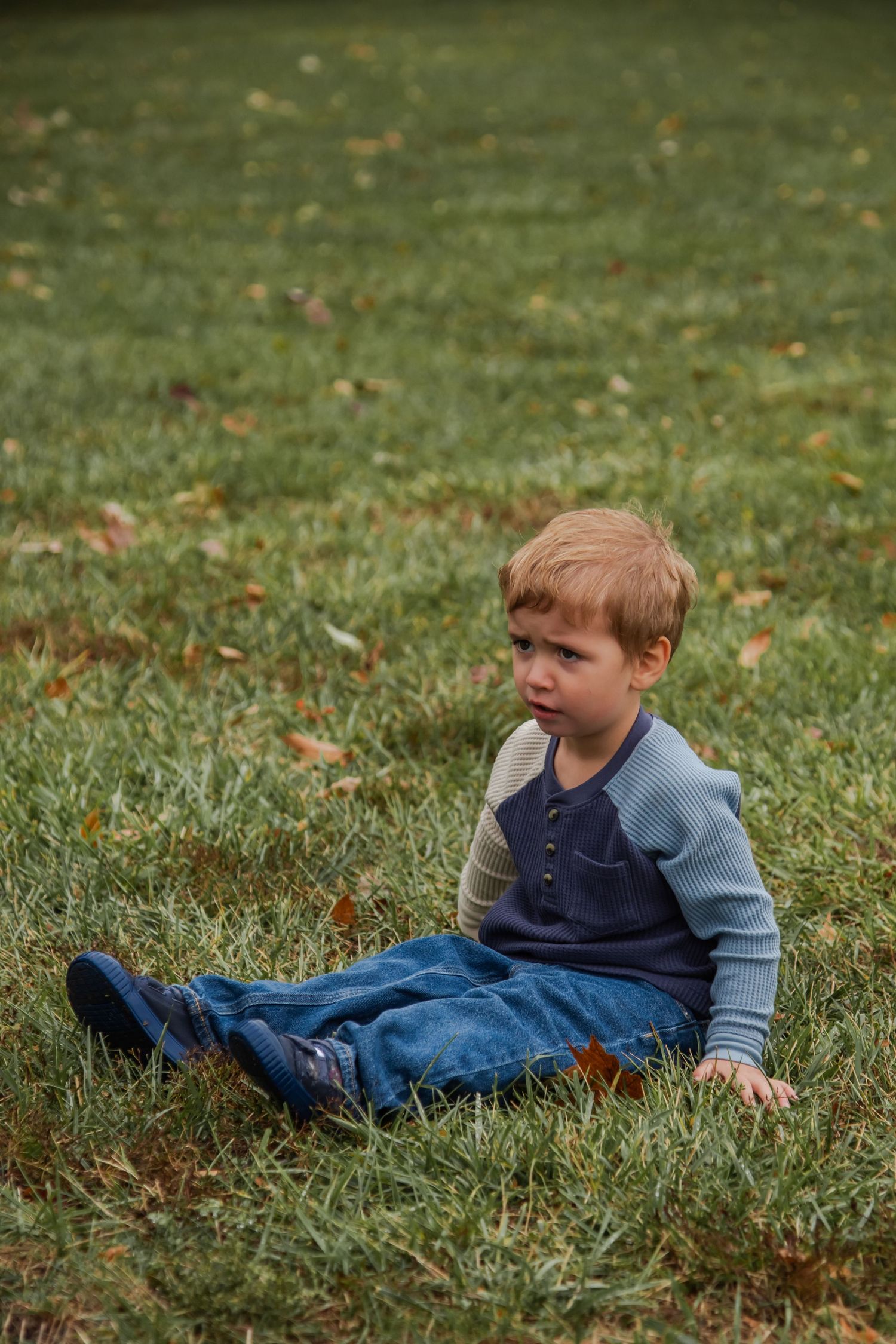 A child sits on grass wearing blue jeans and a two-toned long sleeve shirt.