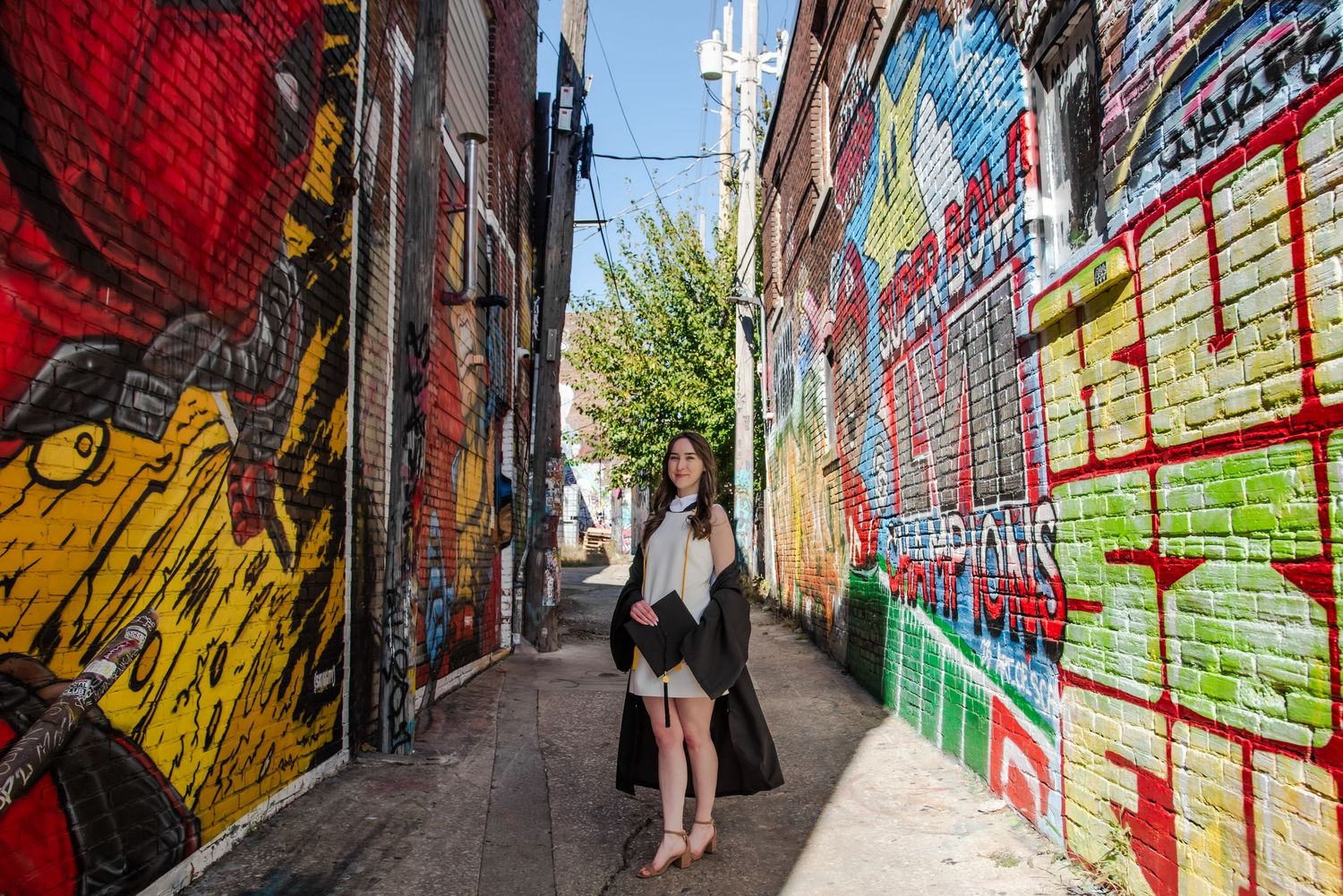 A narrow alleyway filled with vibrant street art and graffiti murals on brick walls in an urban setting.