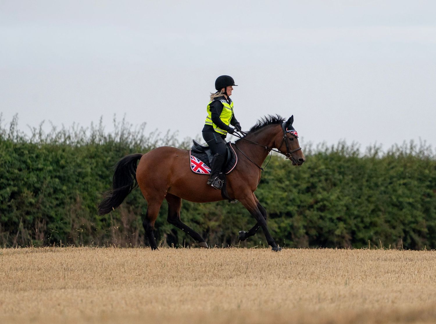 Canter