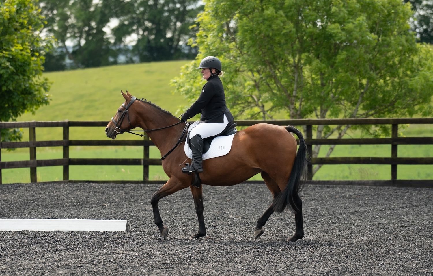 H&C Dressage
