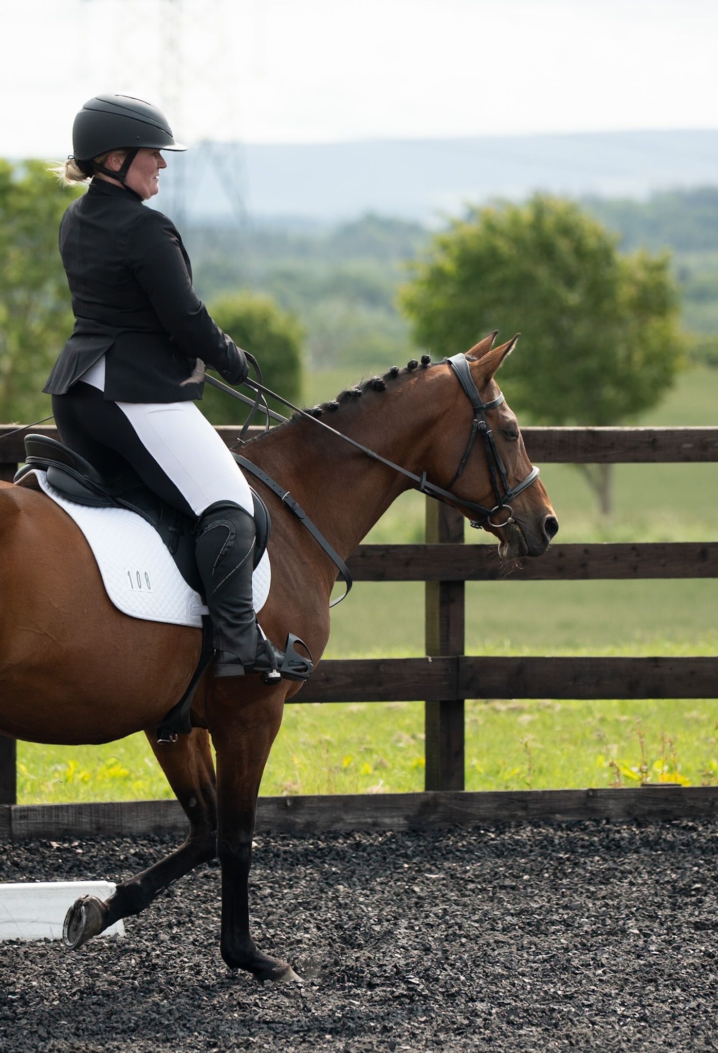 Dressage - Cousland