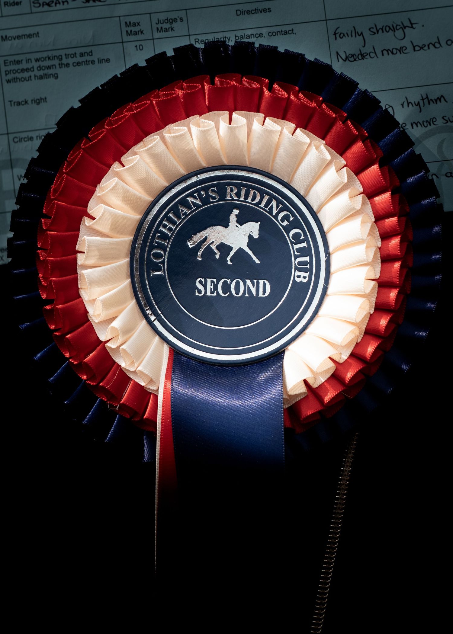 2nd Place rosette