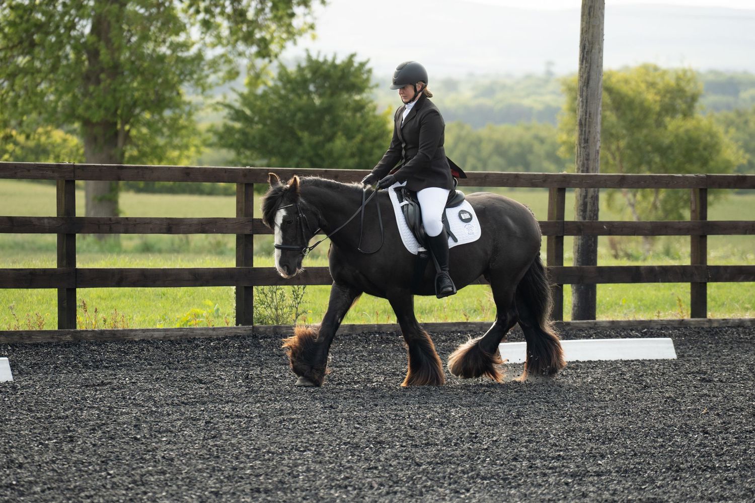 Dressage - Cousland