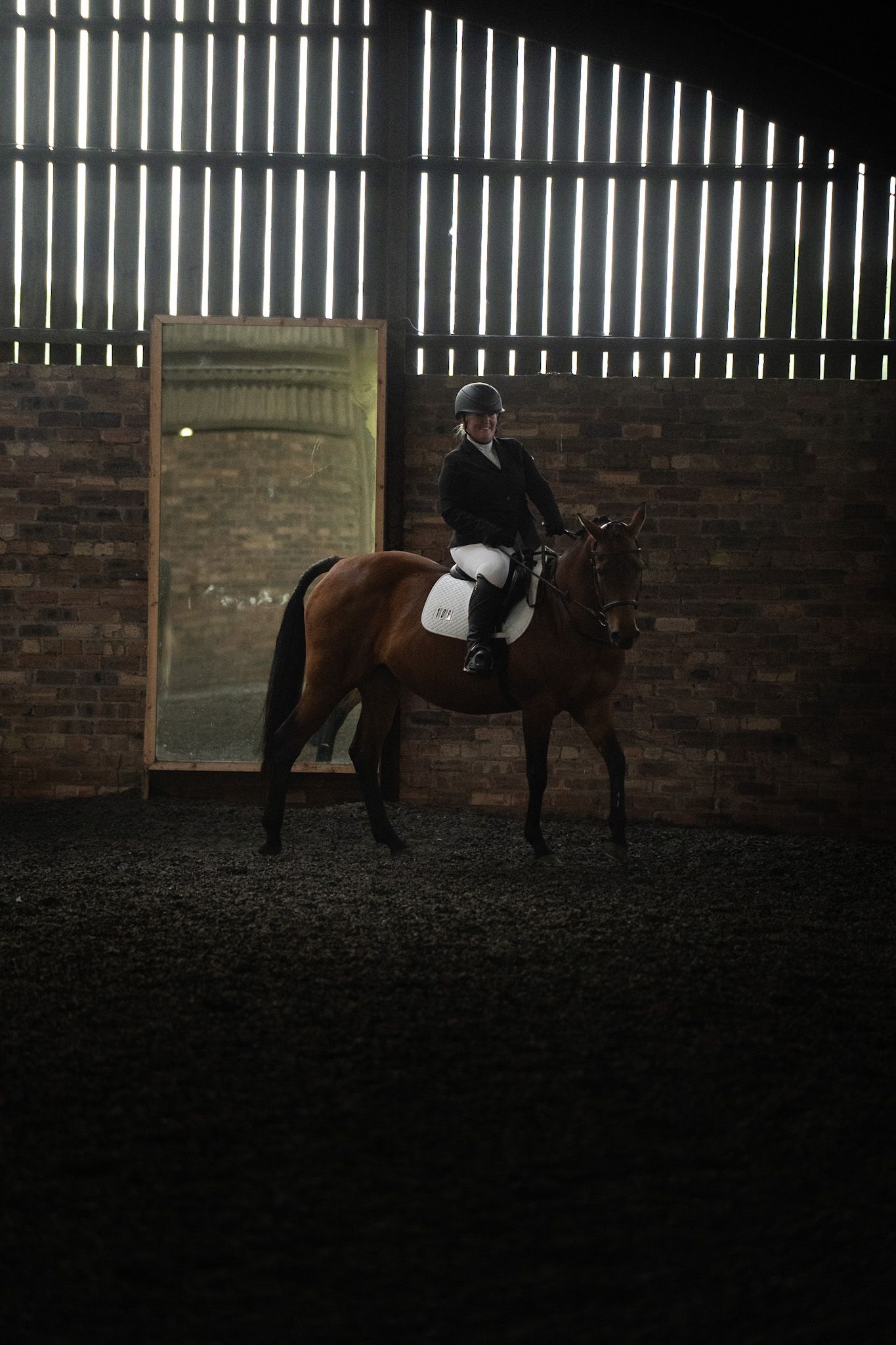 Dressage warm-ups