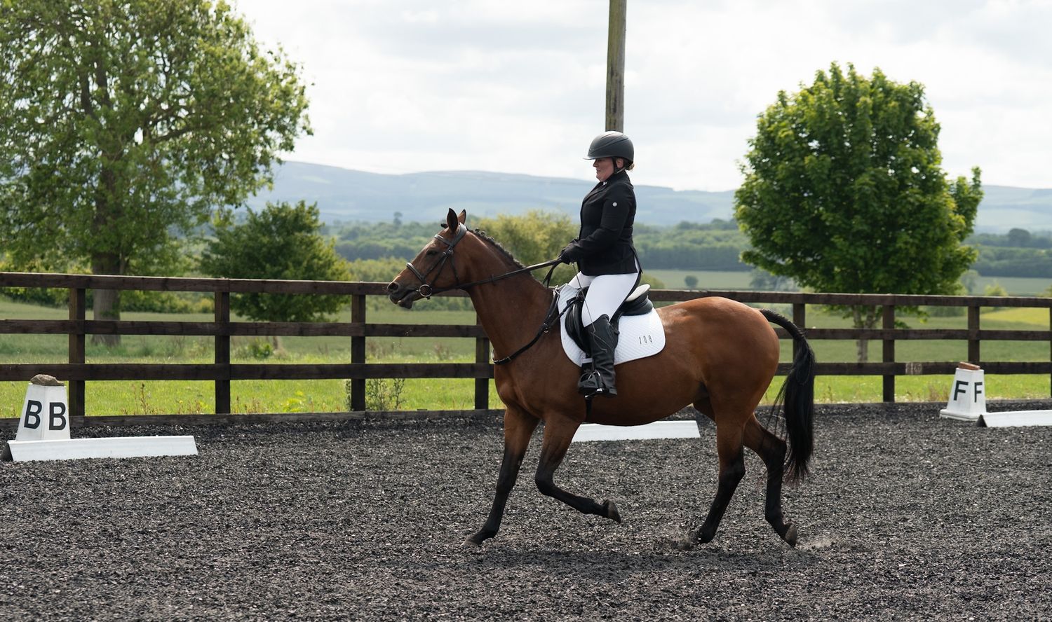 Dressage - Cousland