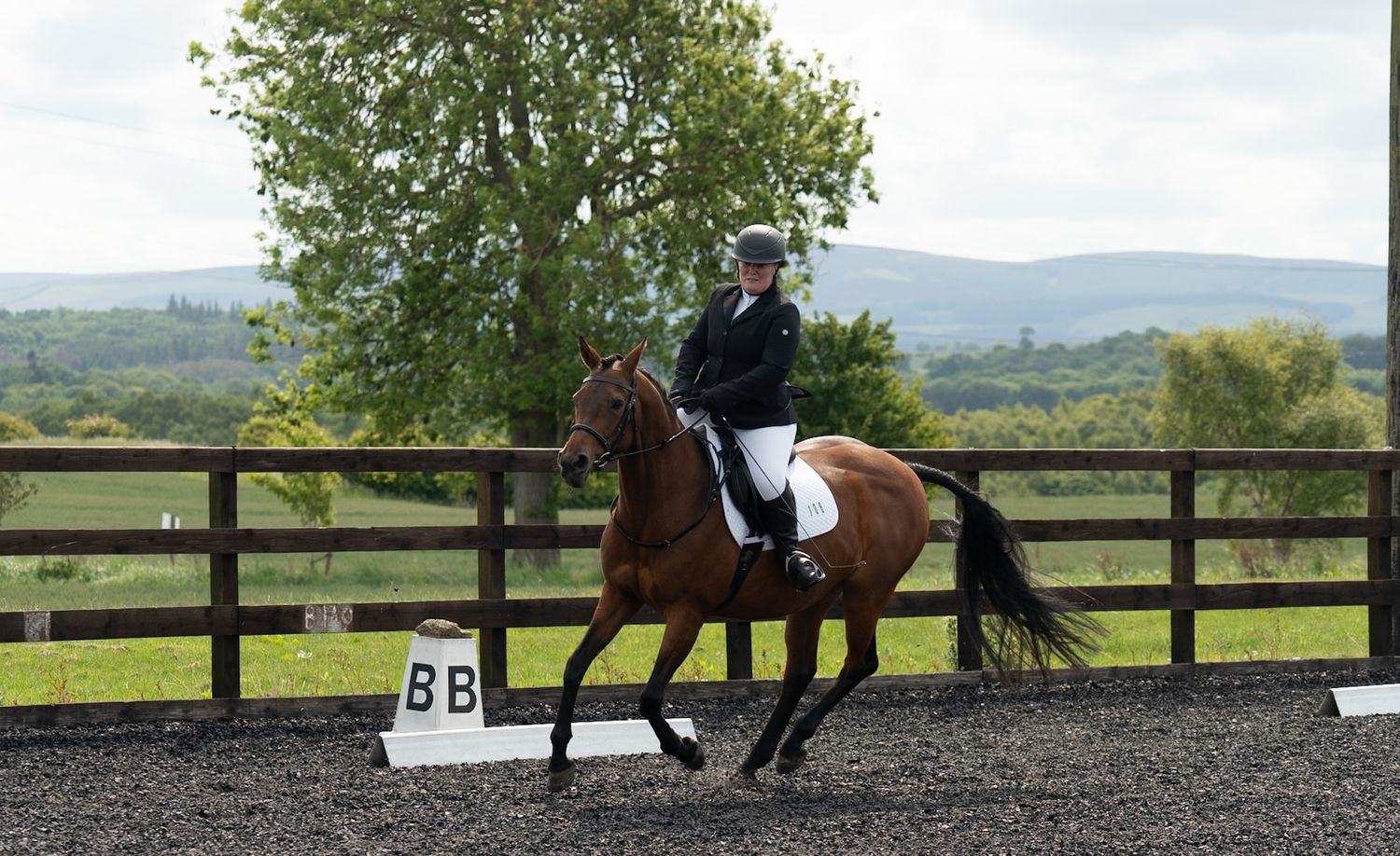 Dressage - Cousland