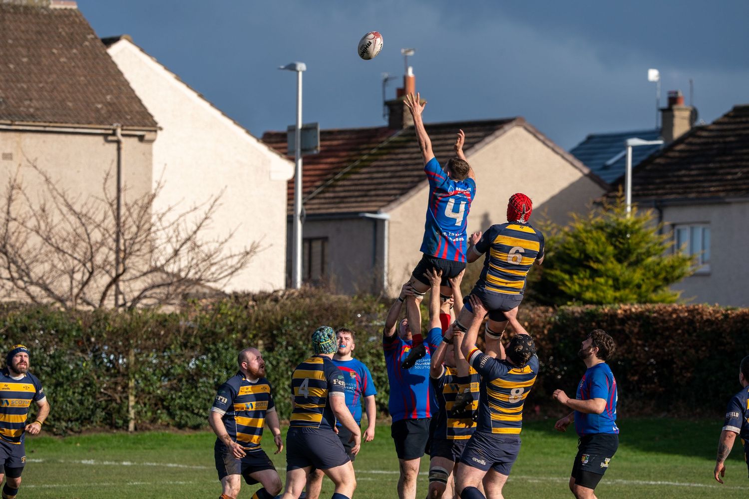 Lineout challenged