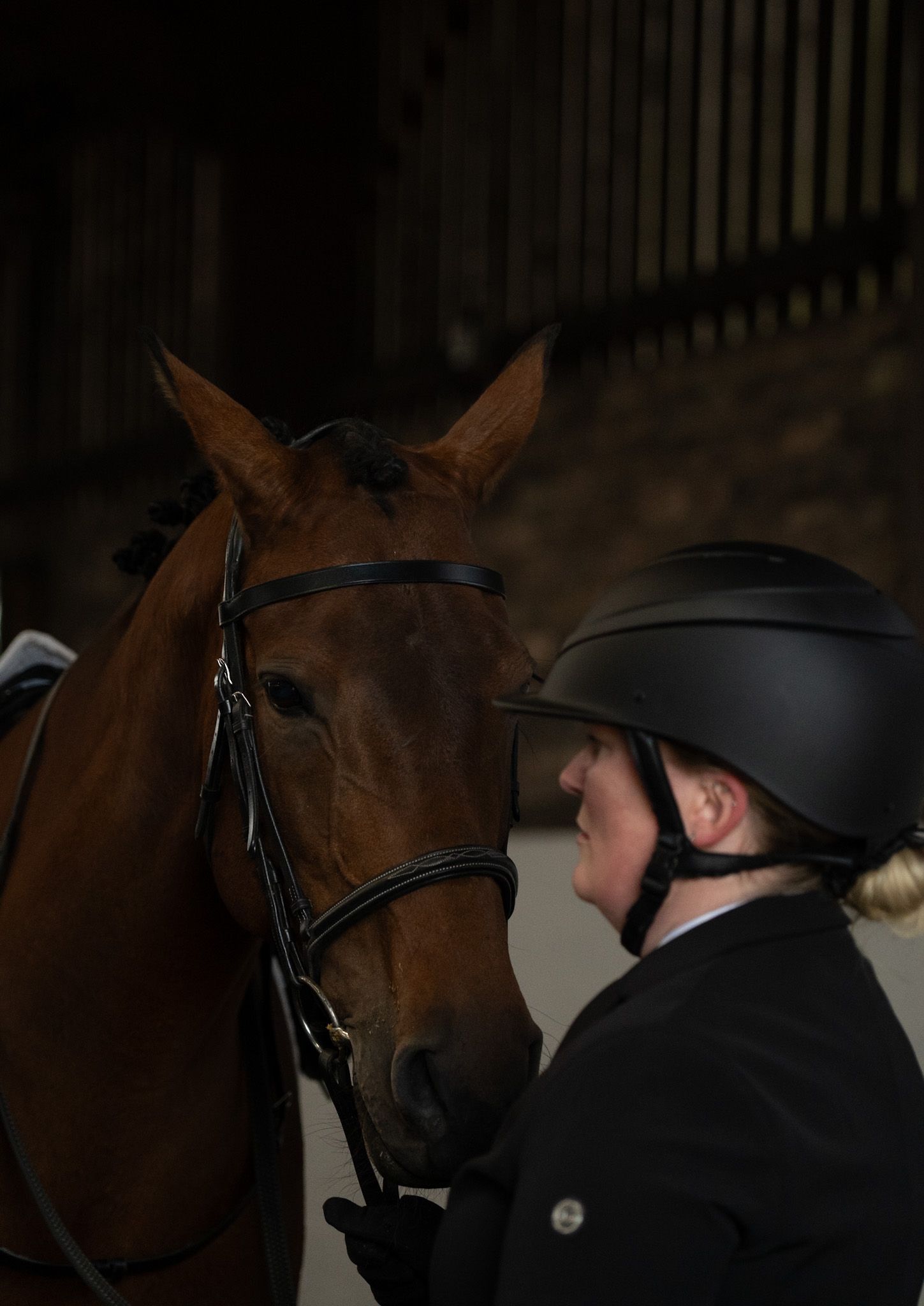 Dressage Competition