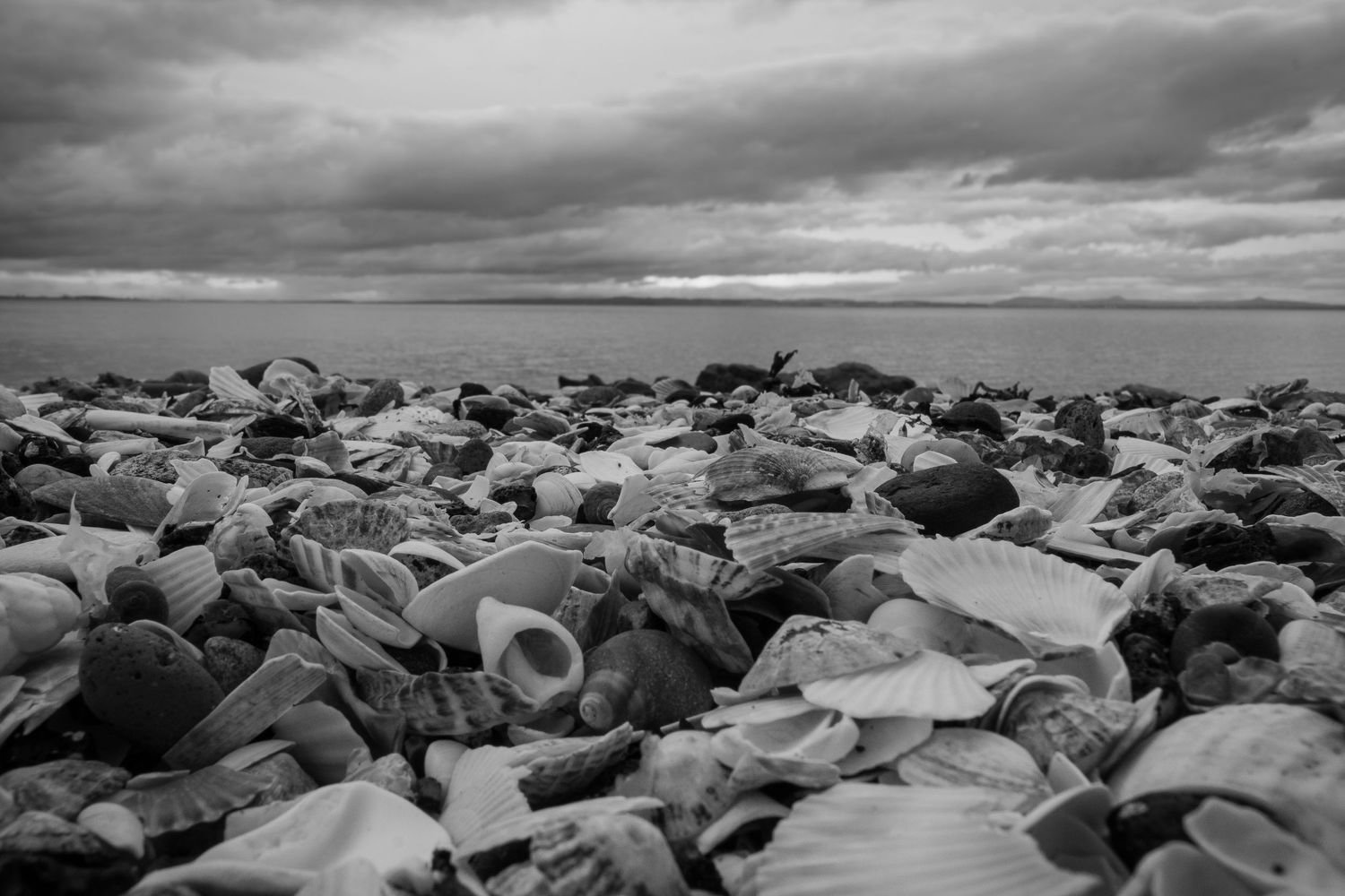 Port Seton Beach 2024