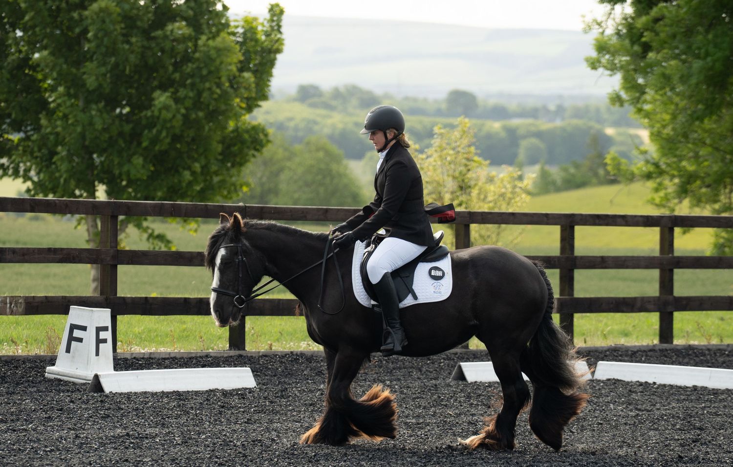 SJ & Tash