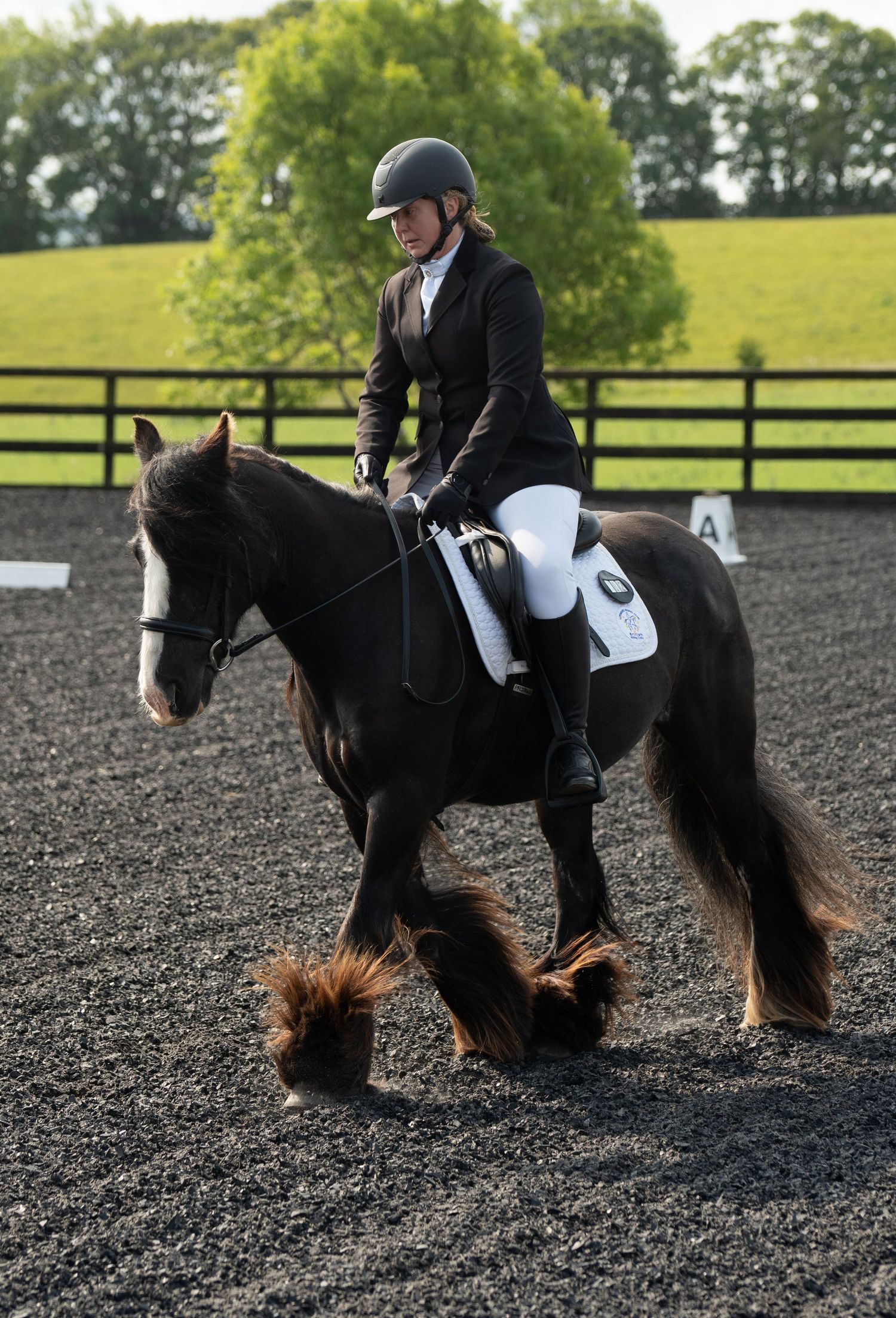 Dressage - Cousland