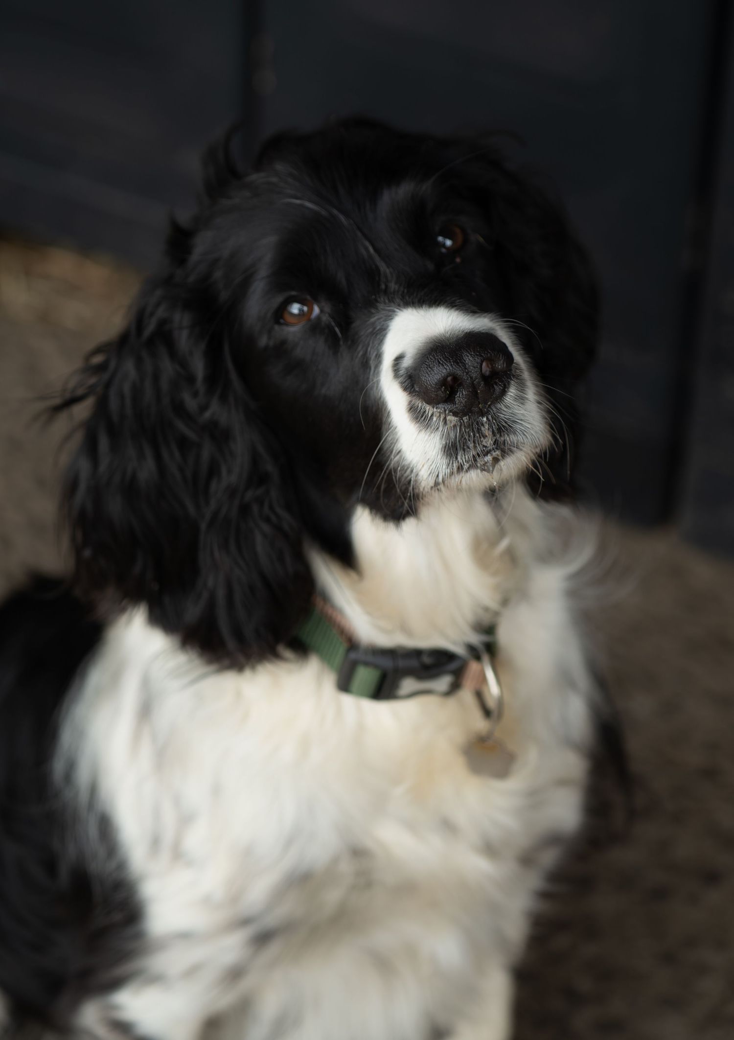 Hamish