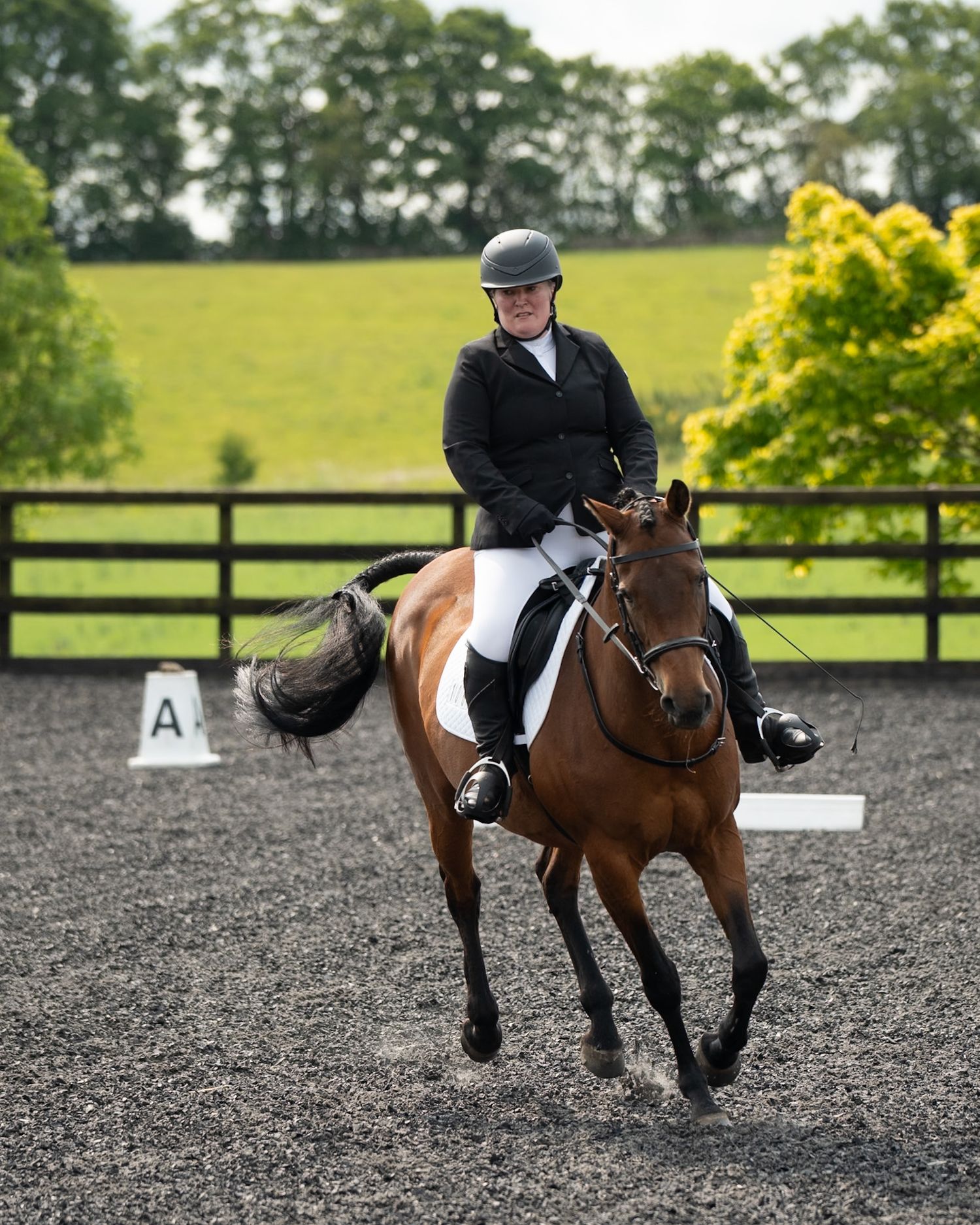 Dressage - Cousland