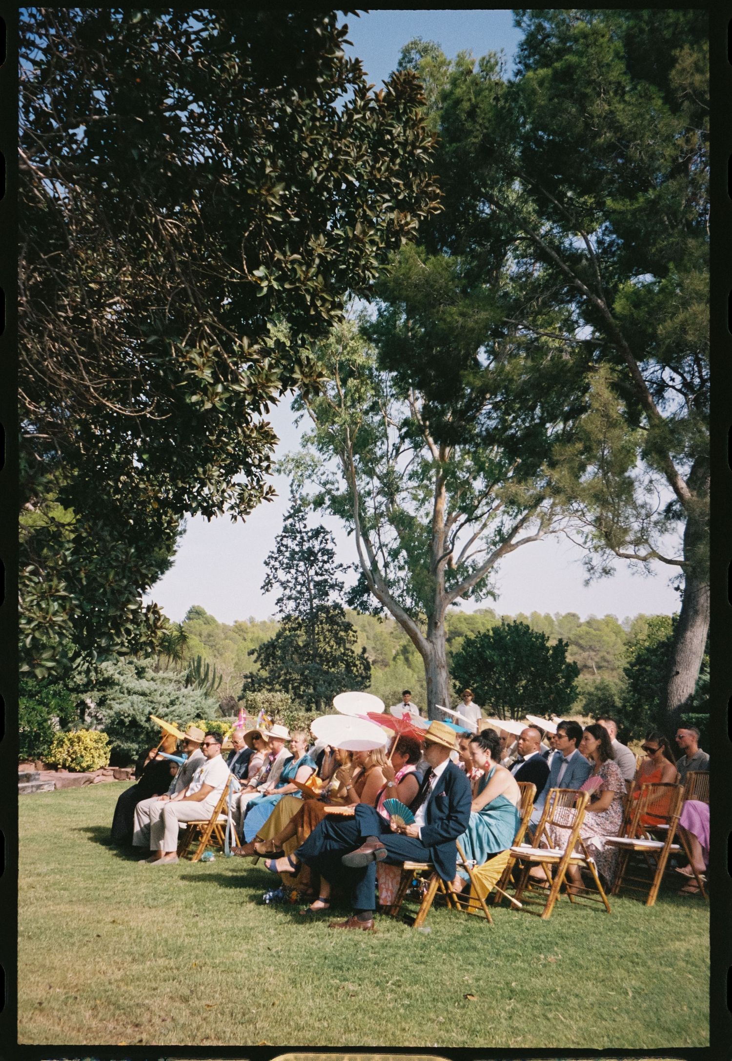 Wide shot of wedding guests seated under trees for an outdoor ceremony.
