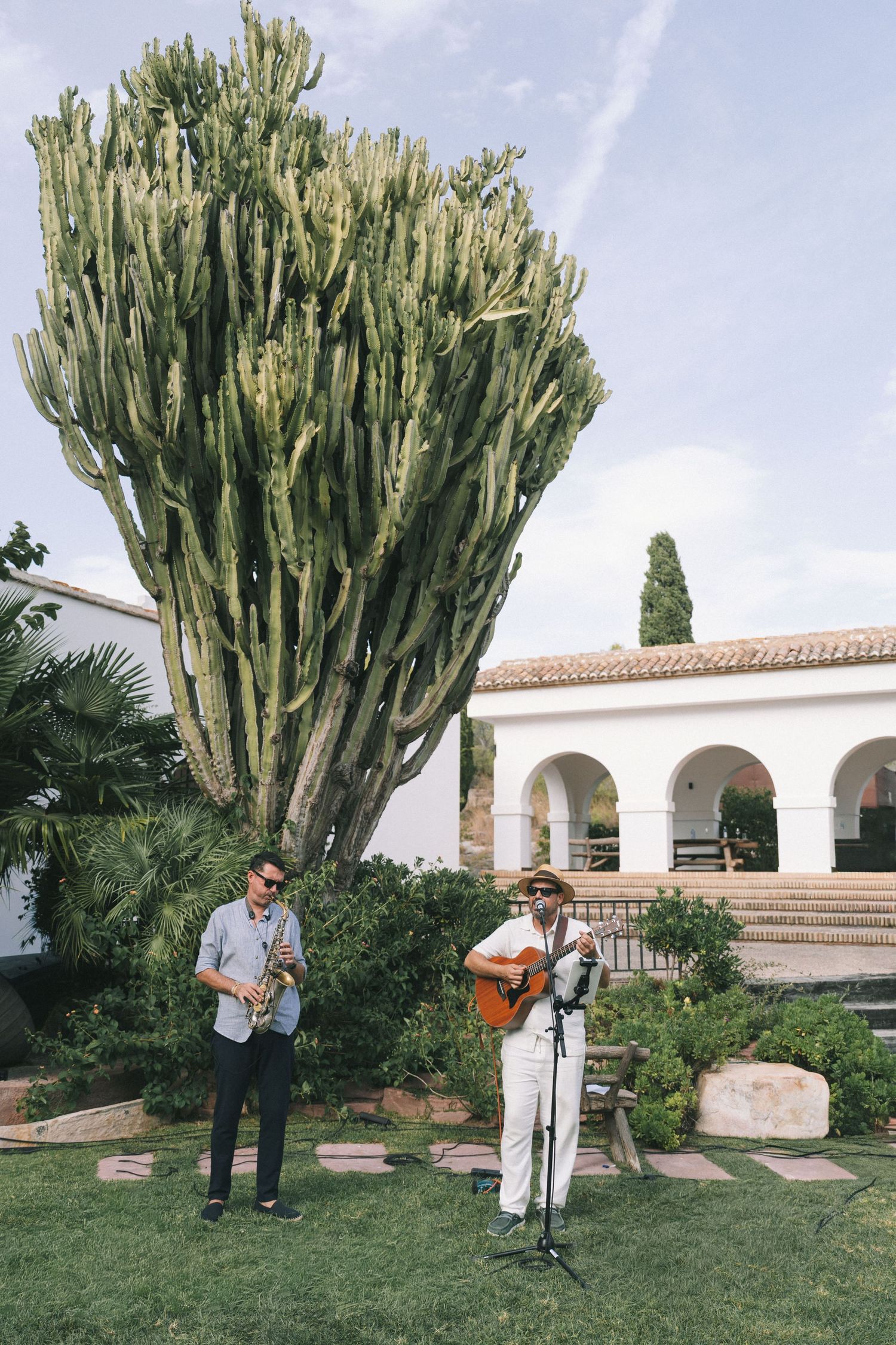 Musicians performing with guitar and saxophone in front of large cactus at outdoor venue.