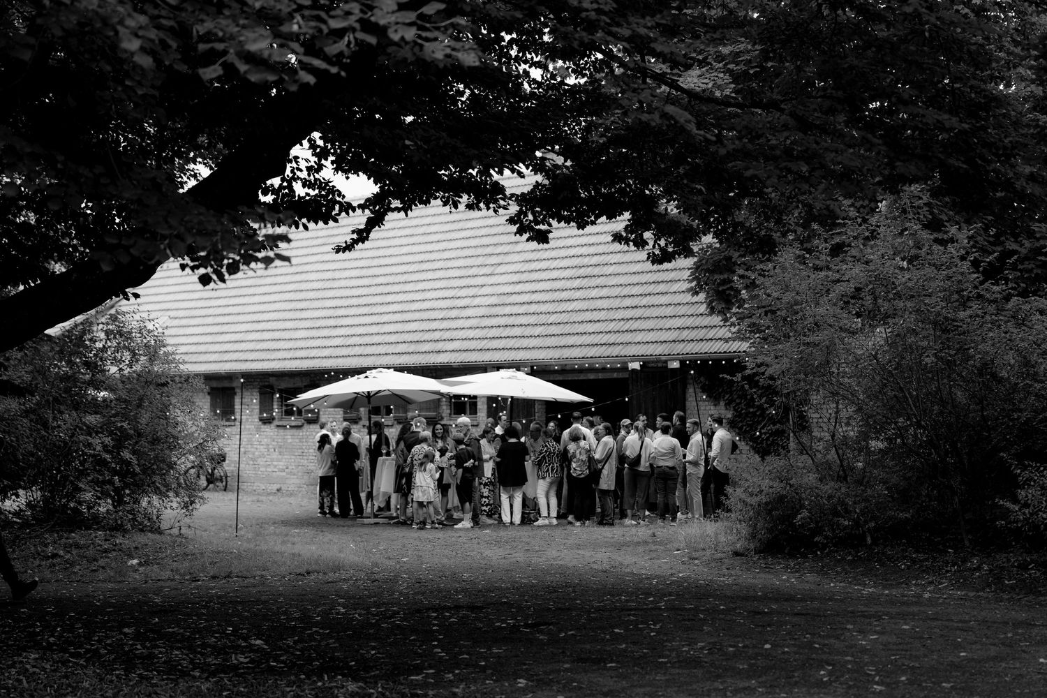 Outdoor wedding venue setup with white tents and guests gathered under trees at dusk.