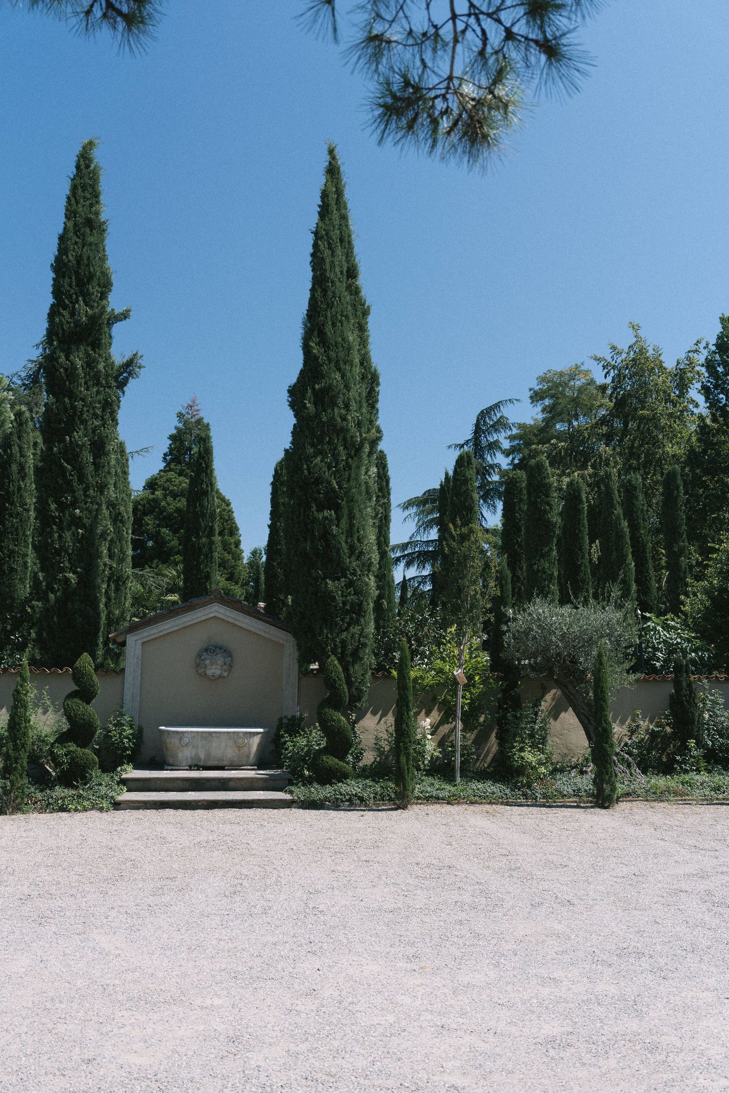 Elegant Italian garden with tall cypress trees framing a stone fountain and ornamental shrubs under a clear blue sky.