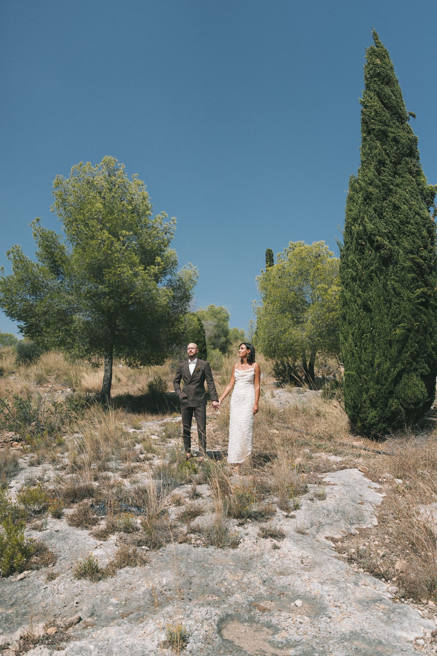Series of photos on rocky terrain with cypress trees against bright blue sky.