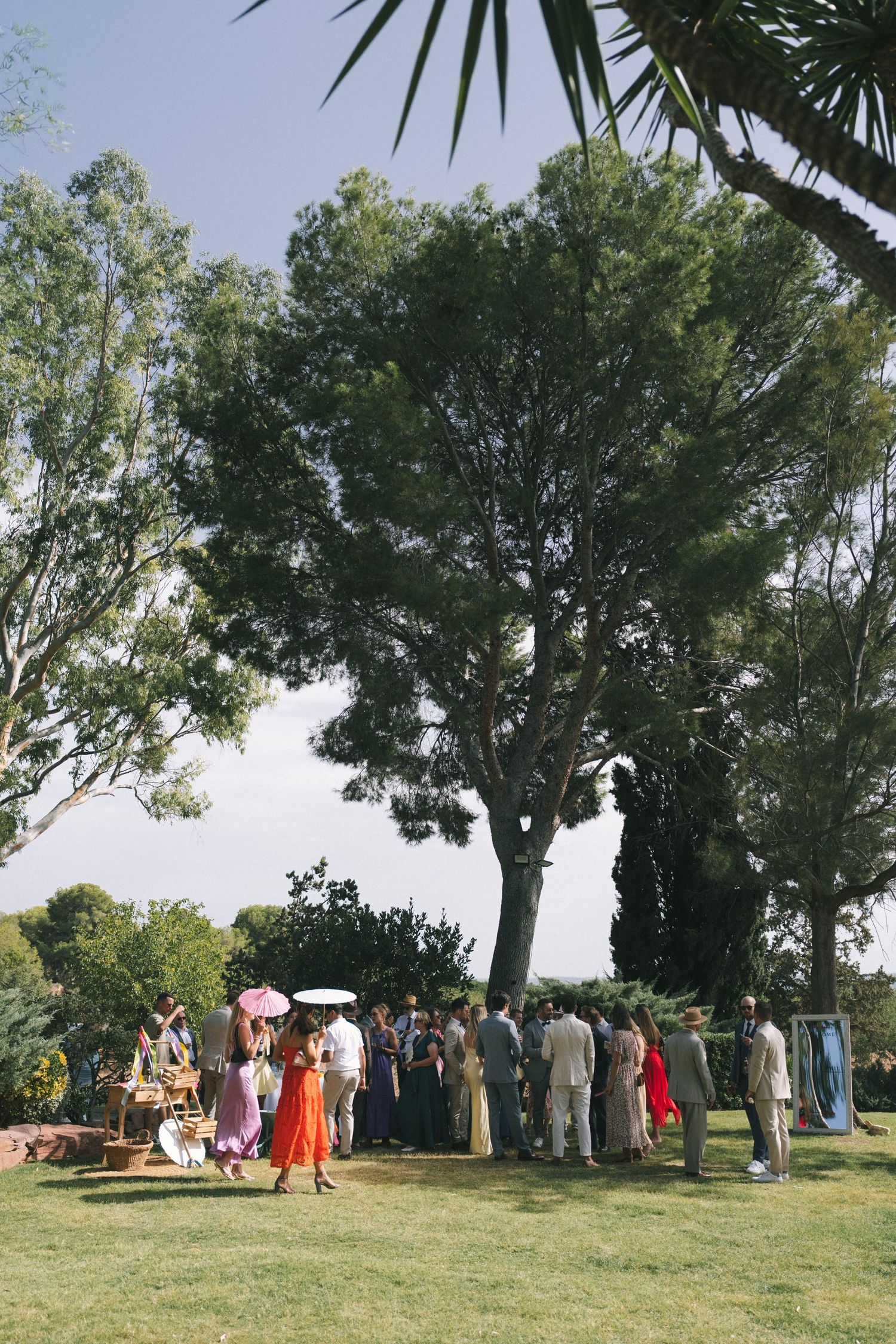 A large group of wedding guests gathered under trees for an outdoor celebration.