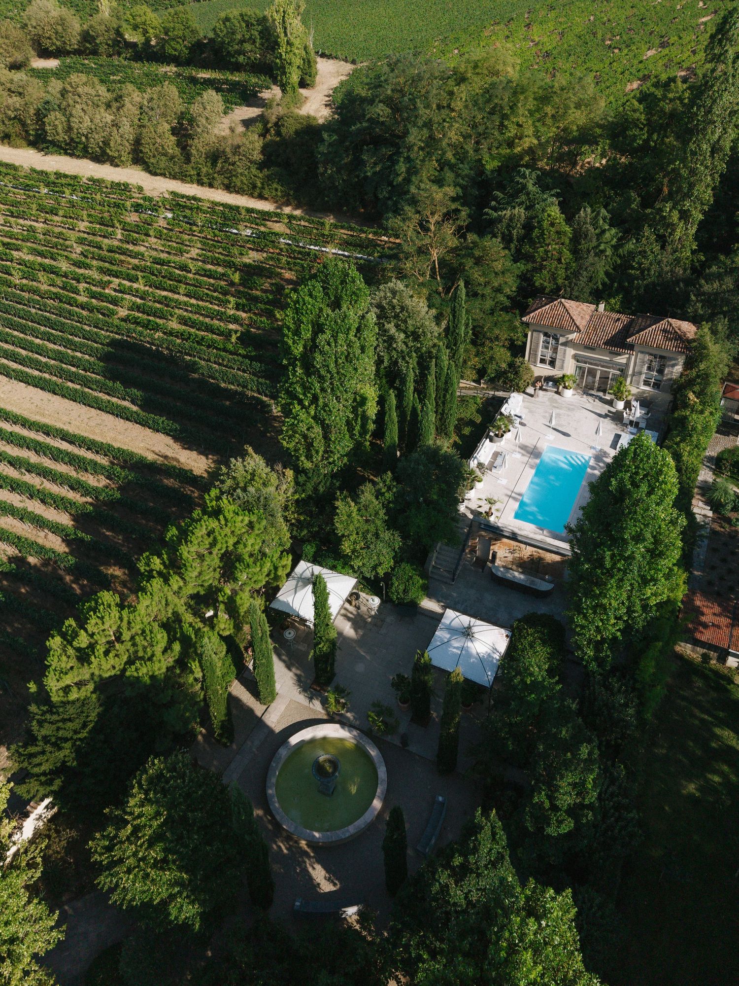 Aerial view of a luxury villa with pool surrounded by lush vineyards and cypress trees in the countryside.