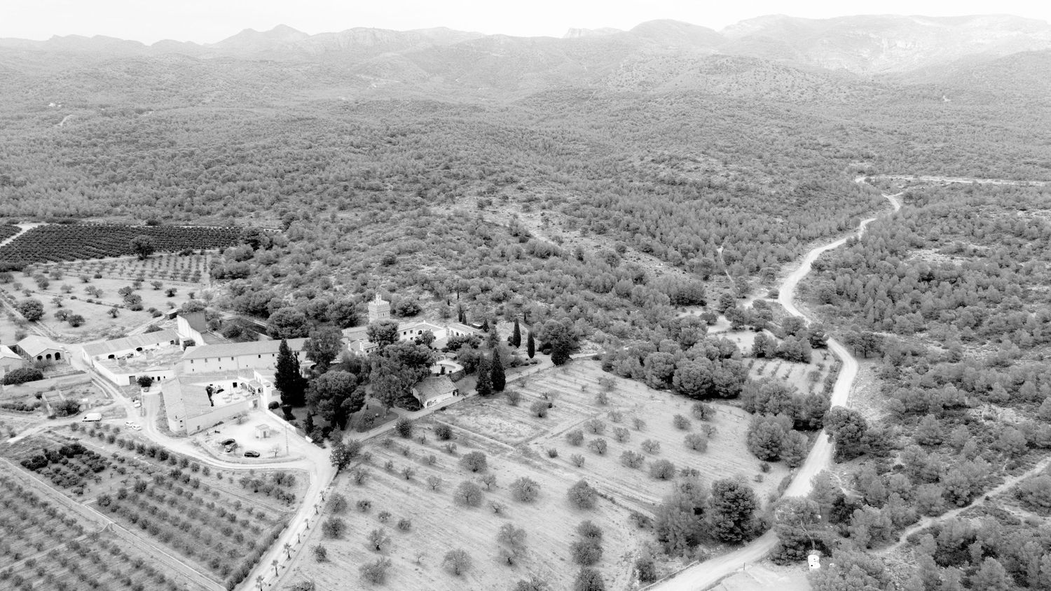 Black and white panoramic view of a rural Mediterranean hillside landscape.