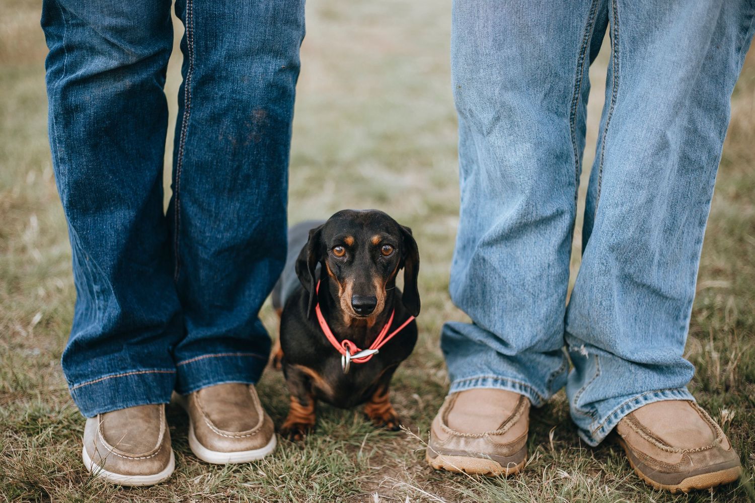 family photos