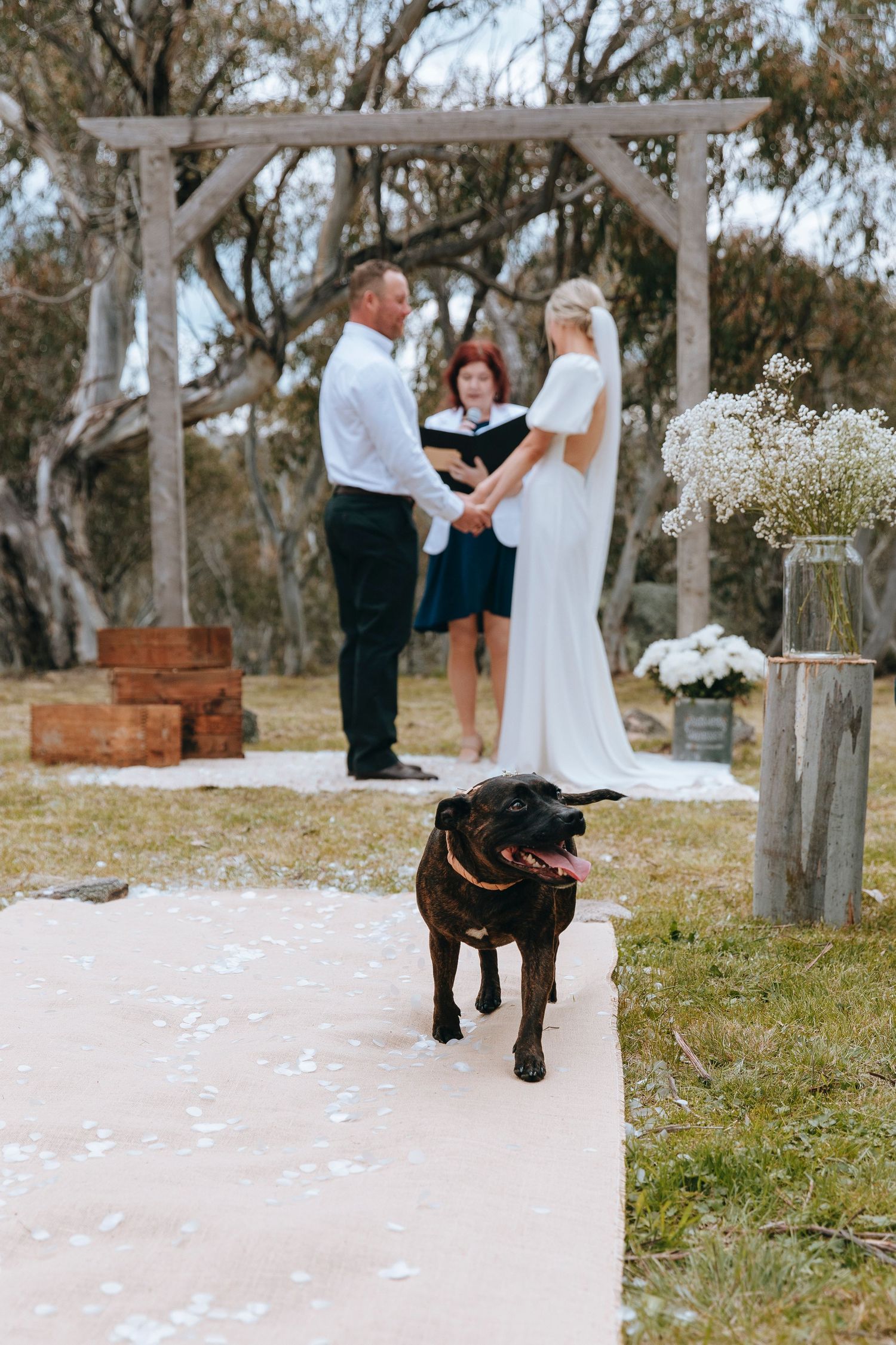 wedding