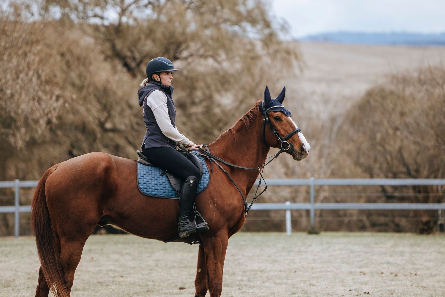 horse and rider