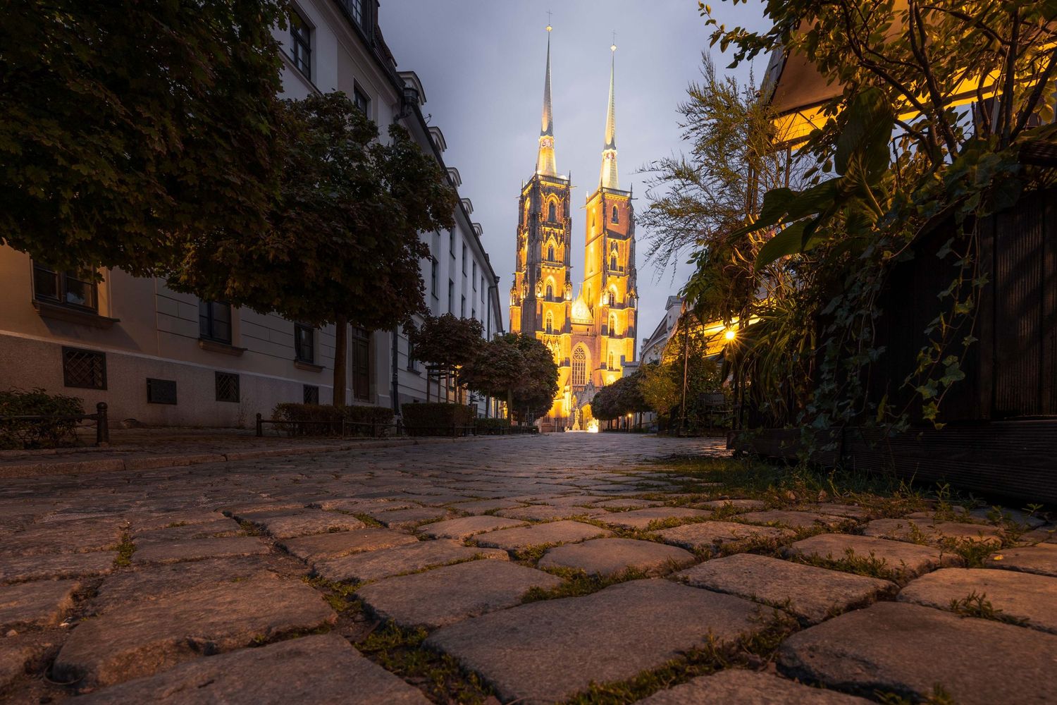 Gothic cathedral illuminated at dusk, viewed from a cobblestone street lined with trees in Wroclaw, Poland.
