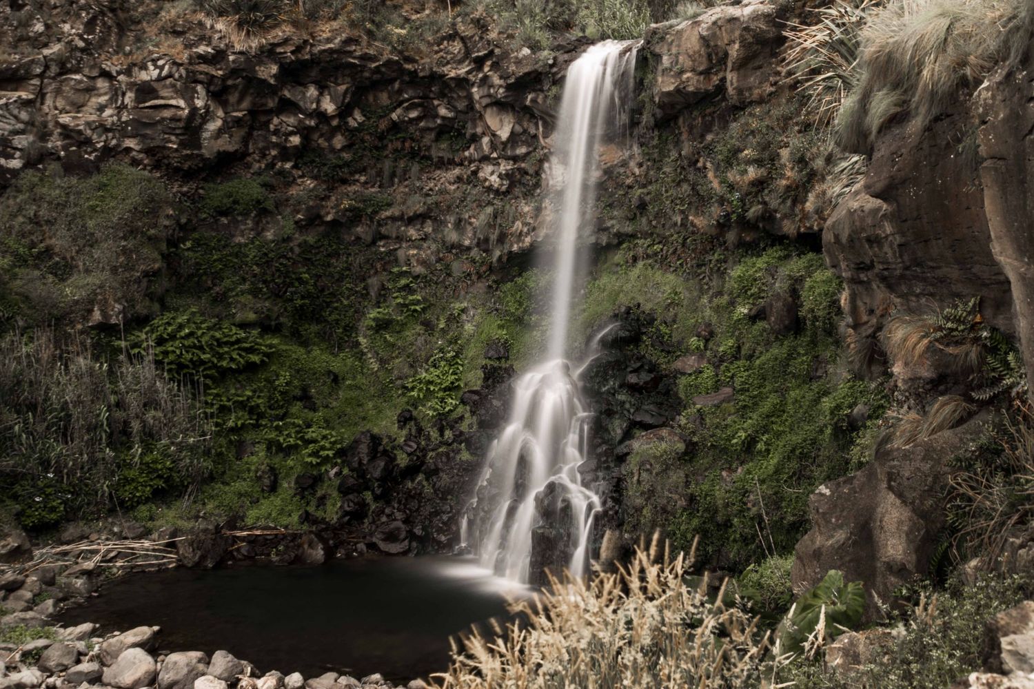 A stunning waterfall cascades down moss-covered rocky cliffs into a serene pool surrounded by lush green vegetation.