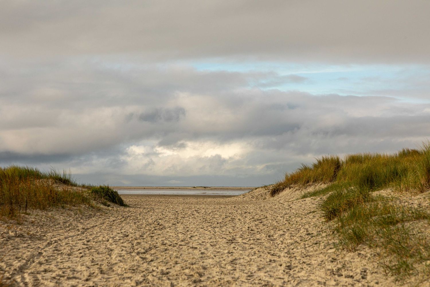 Sandy beach path flanked by grass-covered dunes leads to a calm sea under a dramatic cloudy sky.