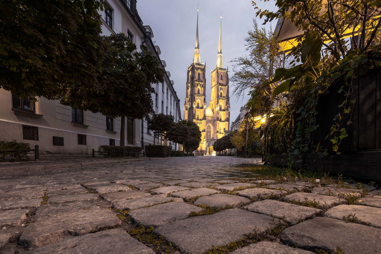 Illuminated Gothic cathedral towers rising above a cobblestone street at dusk in Wroclaw, Poland.