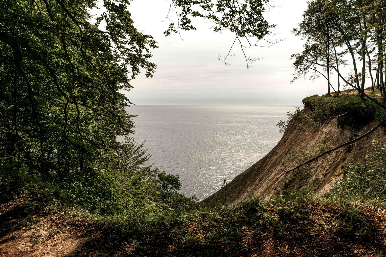 Scenic coastal cliff view through lush green trees overlooking calm gray sea with a distant ship on overcast day.