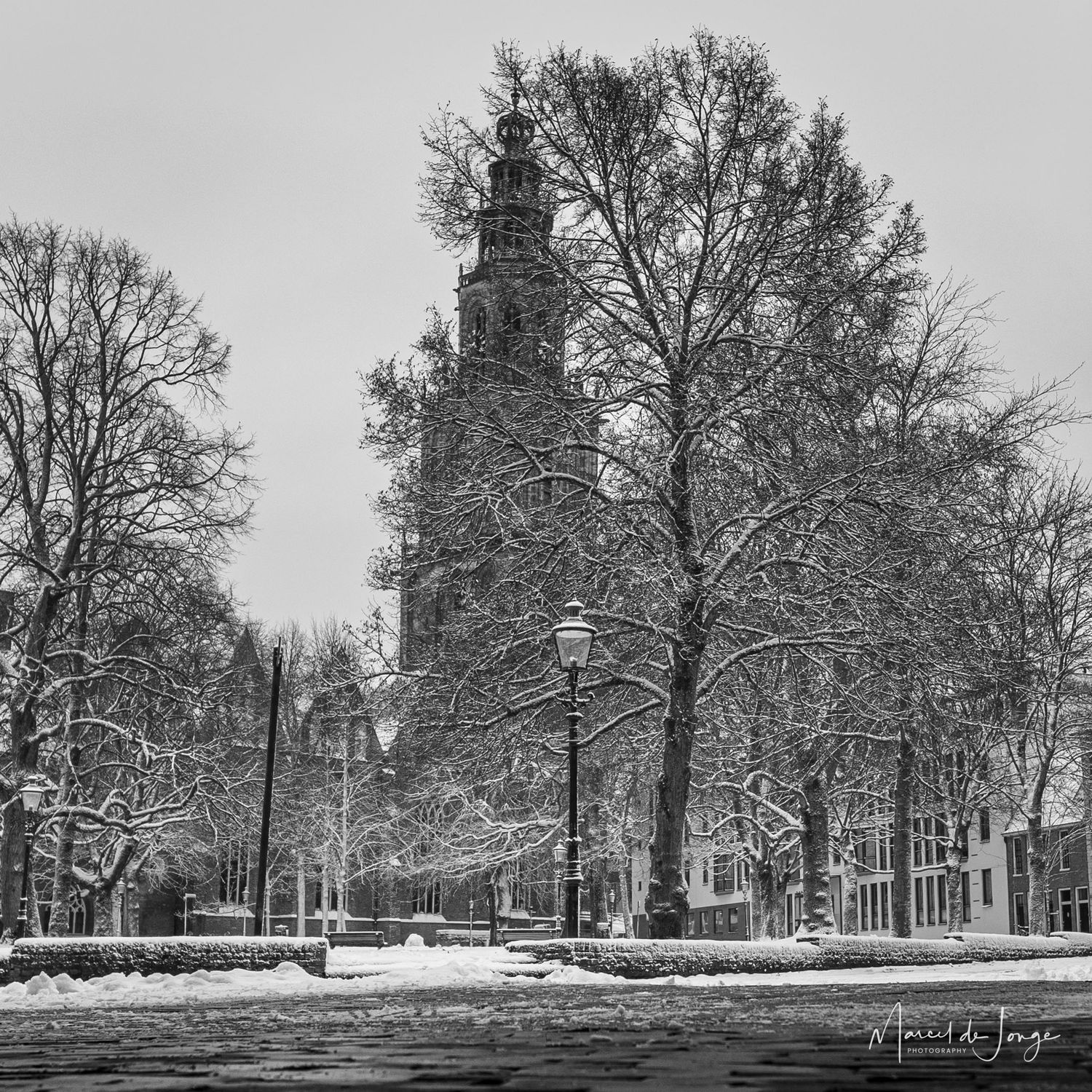 A snowy winter panorama showing a tree-lined path with lampposts and buildings in black and white.