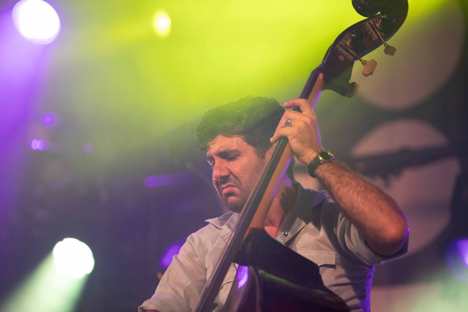 Musician playing upright double bass on stage under purple and green concert lights.