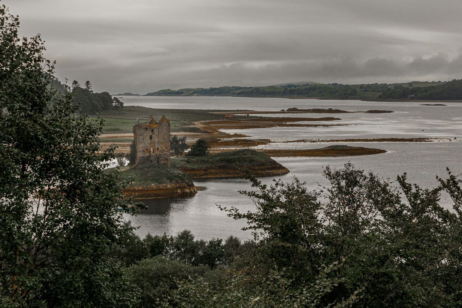 Ancient castle ruins on a misty Scottish loch, surrounded by golden marshlands under dramatic overcast skies.