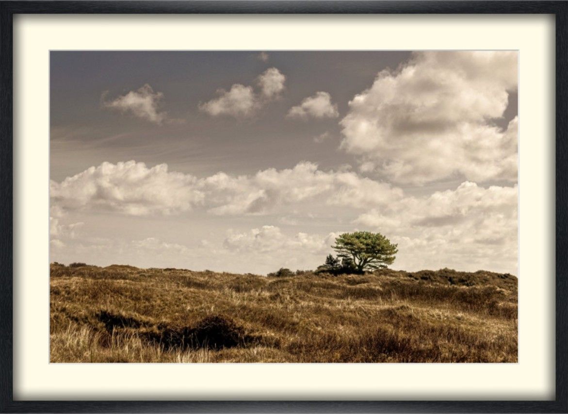A panoramic view of rolling hills and grasslands under dramatic cloudy skies in sepia tones.