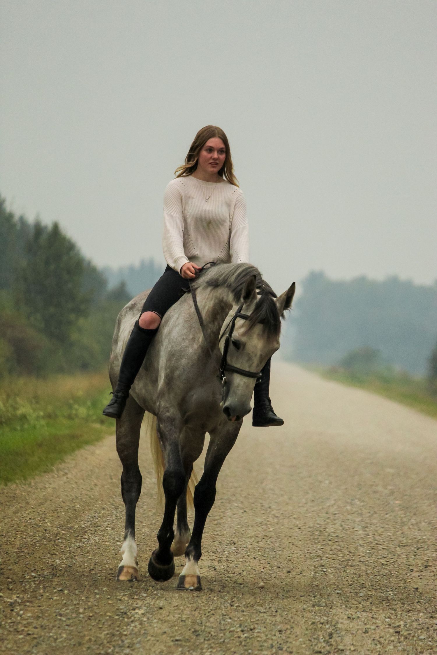 Girl riding grey horse in Rocky Mountain House, AB